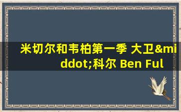 米切尔和韦柏第一季 大卫·科尔 Ben Fuller 在线看